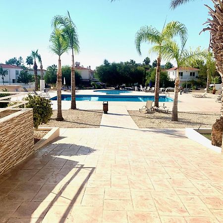 Nissi Beach Ayia Napa Pool View Apartment Large Terrace 450M From Nissi Beach Zewnętrze zdjęcie